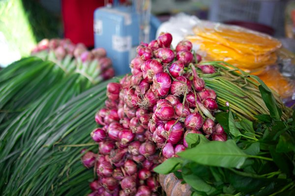 Comprendre les spécificités du vin primeur 2023